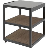 Witt Pizza Trolley Connected Part